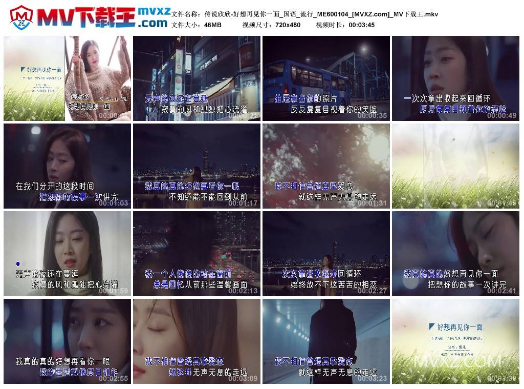 传说欣欣-好想再见你一面_国语_流行_ME600104